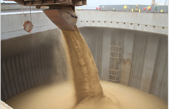 Exportação de grãos pelo Porto de Paranaguá cresce 37% no primeiro trimestre