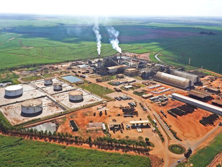 Viterra Bioenergia recebe novo certificado RenovaBio com evolução nas Notas de Eficiência Energético-Ambiental