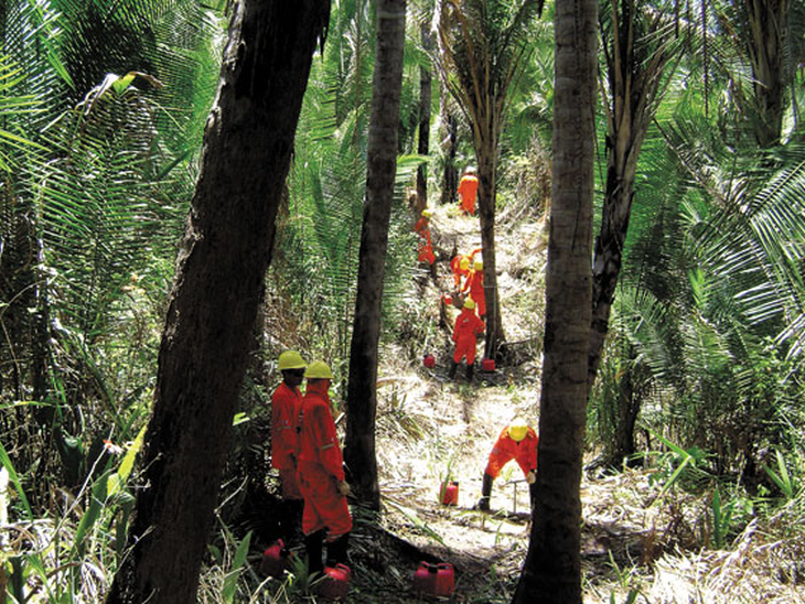 Georadar inicia levantamento de registro sísmico na Bacia do Solimões