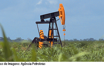 Nova diretoria assume a ABPIP