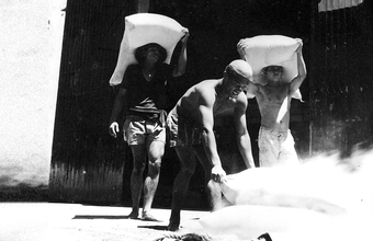 Recorde de produtividade marca os 81 anos do Porto de Paranaguá