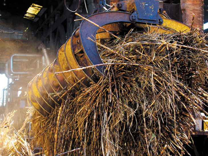 Biomassa supera 12 GW de potência e se aproxima do gás como segunda fonte de energia