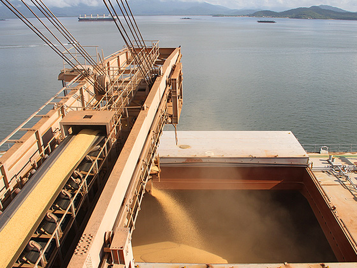 Porto de Paranaguá registra alta de 11% na exportação de granéis