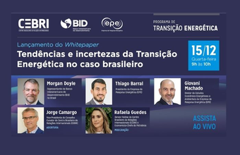 CEBRI, EPE e BID lançam White Paper com diagnóstico da situação do Brasil na atual geopolítica da transição energética