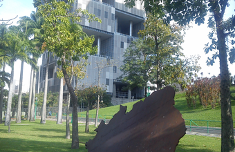 Com 2.159 reportagens inscritas, o V Prêmio Petrobras de Jornalismo registra recorde de inscrições