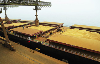 Exportação de soja do Brasil em fevereiro é a maior desde julho de 2019