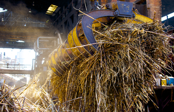 Moagem de cana no Centro-Sul atinge 600 milhões de toneladas no final de janeiro