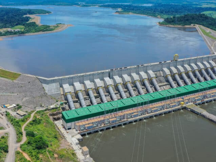 Programa Floresta Viva do BNDES recebe apoio da Norte Energia