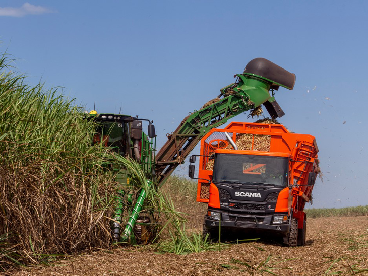 Pesquisa mostra que 92% do etanol vem de novas áreas de cana-de-açúcar no Brasil