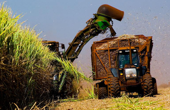 Brasil pode produzir 10 bi de litros de etanol de segunda geração até 2025, diz ONU  