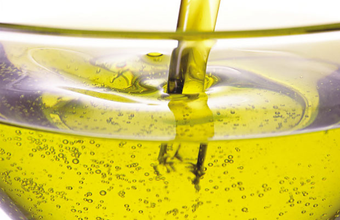 Ministro de Minas e Energia afirma total apoio ao biodiesel