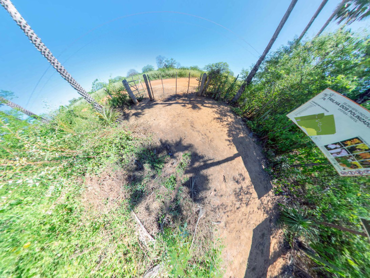 Petrobras utiliza realidade virtual para monitoramento e educação ambiental