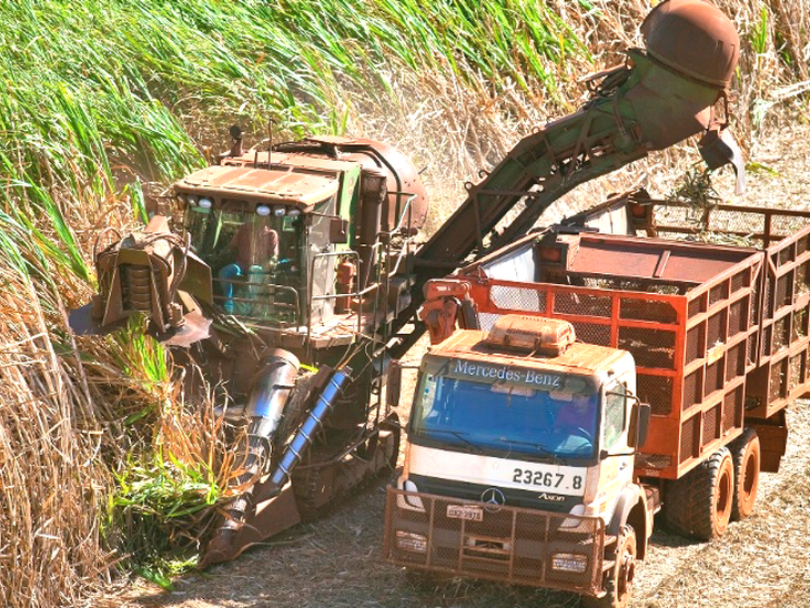 Venda total de etanol sobe 17,11% em setembro; mercado interno cresce 18%