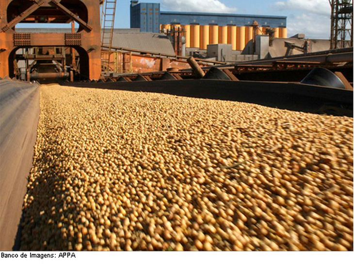 Exportações brasileiras de soja em grão registram resultados positivos