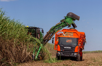 Pesquisa mostra que 92% do etanol vem de novas áreas de cana-de-açúcar no Brasil