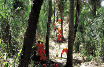 Georadar inicia levantamento de registro sísmico na Bacia do Solimões