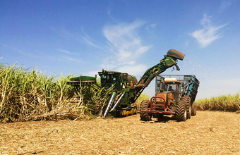 Indicadores Cepea mostram etanol hidratado em alta no mercado semanal e diário