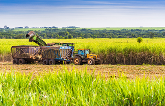 Etanol/Cepea: hidratado tem 2ª semana seguida de alta