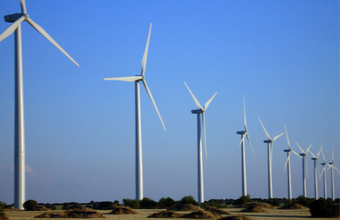 Leilão contrata 479 MW de energia renovável, de fonte eólica e de biomassa