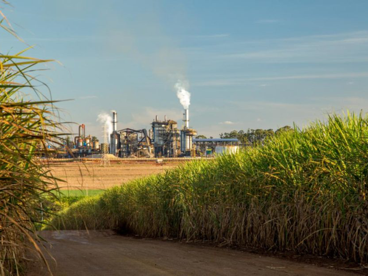 Moagem de cana alcança 51,16 milhões de toneladas na região Norte/Nordeste