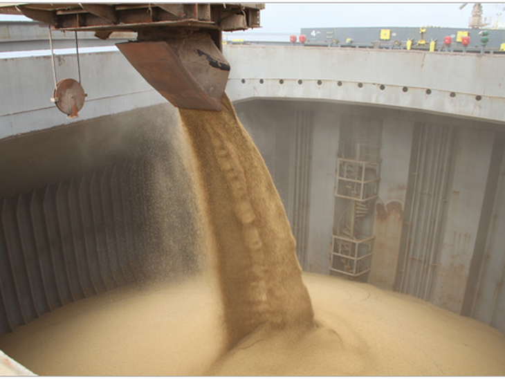 Exportação de grãos pelo Porto de Paranaguá cresce 37% no primeiro trimestre