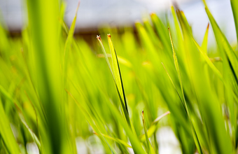 Votação unânime de MP no Senado traduz importância da venda direta para modernizar mercado de etanol