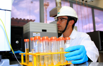 39º Leilão de biodiesel da ANP arremata 645,2 milhões de litros