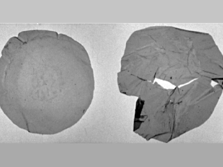 Pesquisadores brasileiros encontram bactéria capaz de transformar lixo plástico em bioplástico