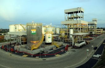 Usina da Petrobras Biocombustível triplica capacidade de refino de sebo bovino 