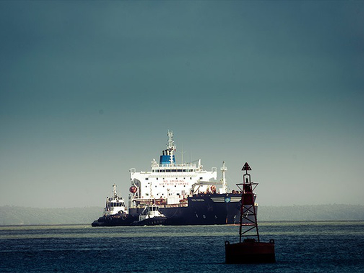Secex/Brandão: exportações foram melhores em maio com alta em volume de petróleo e carnes