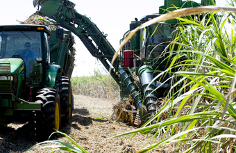 Preços do anidro e hidratado caem na semana  
