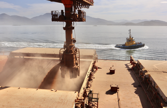 Nova safra de soja começa a ser exportada pelo porto de Paranaguá