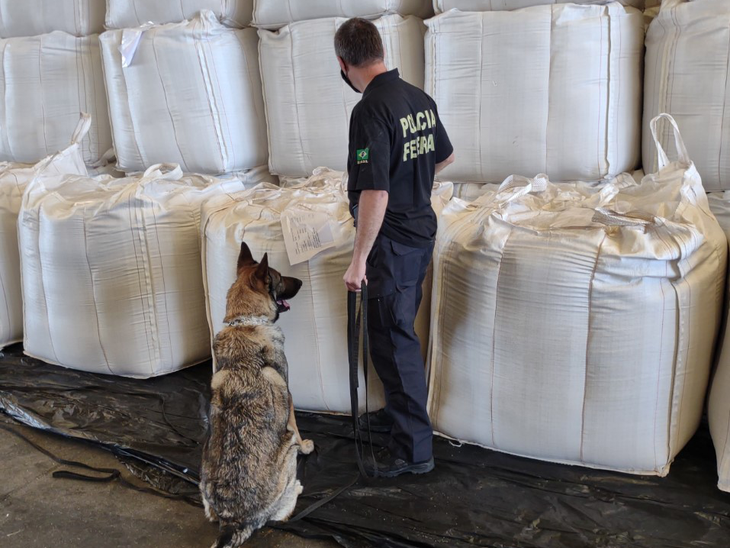 Cães farejadores participam de operação no Porto de Paranaguá