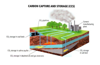 RCGI elabora proposta de projeto de lei sobre estocagem de carbono